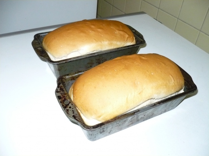 How to bake bread in the oven