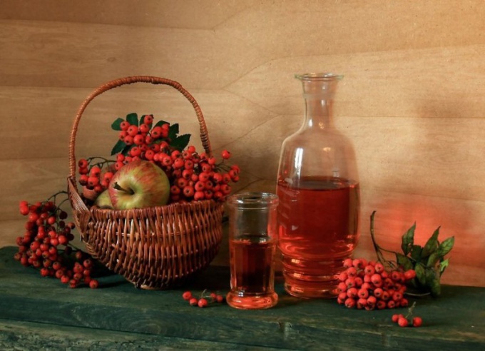 How to make a tincture of red ashberry