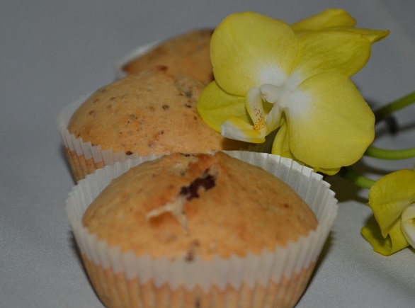 Cupcakes on melted milk with nuts and chocolate