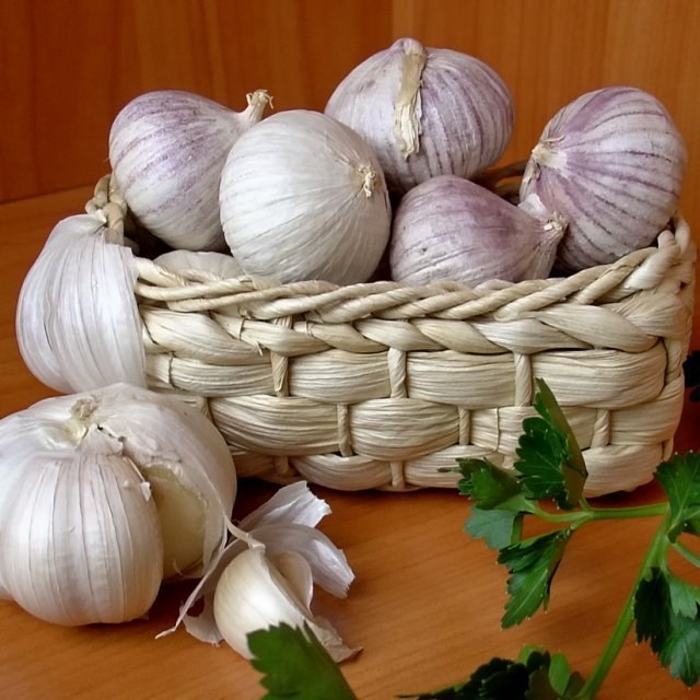 Where to store garlic correctly 