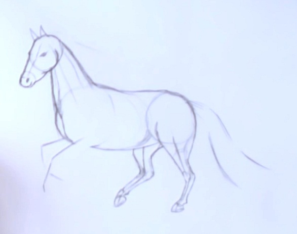 How to draw a horse in stages