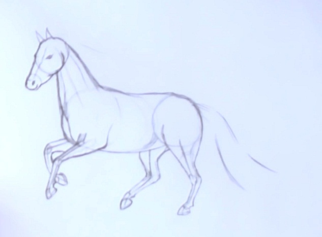 How to draw a horse in stages