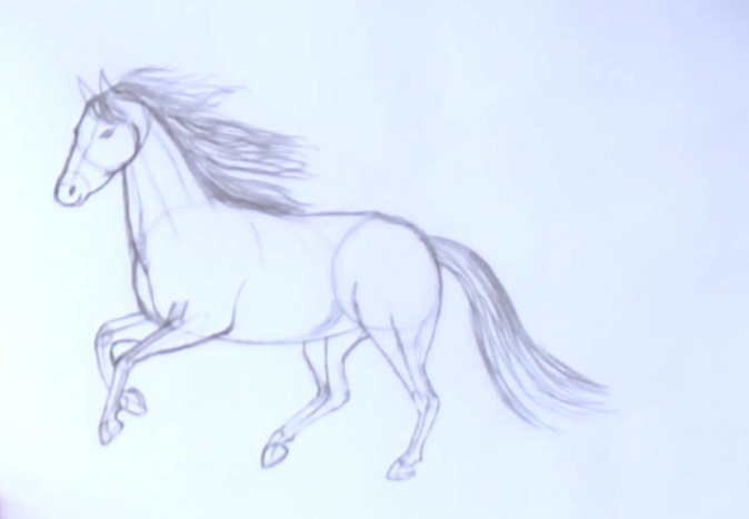 How to draw a horse in stages