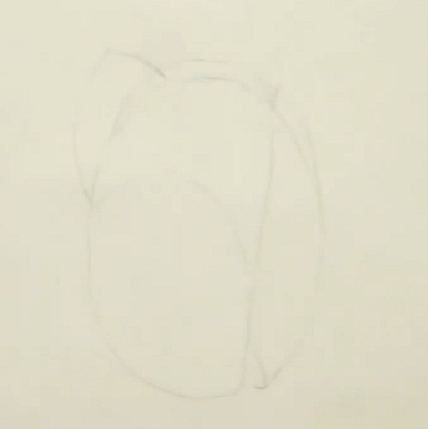 How to draw a tulip