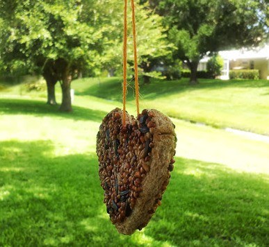 How to make a bird feeder in the form of hearts