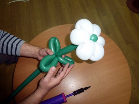 How to make a daisy from balls for modeling