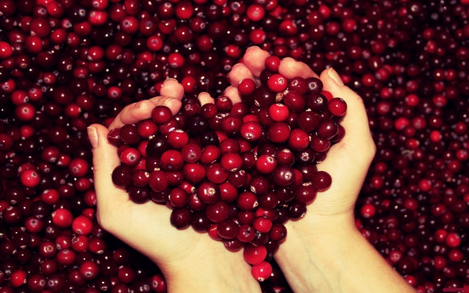 Nourishing masks for hair from cranberries