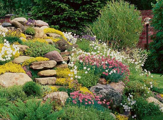 how to design an alpine hill