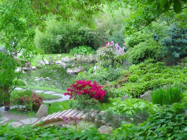 How to make a Japanese garden