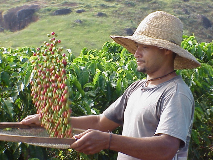 Economy of Colombia: basic information