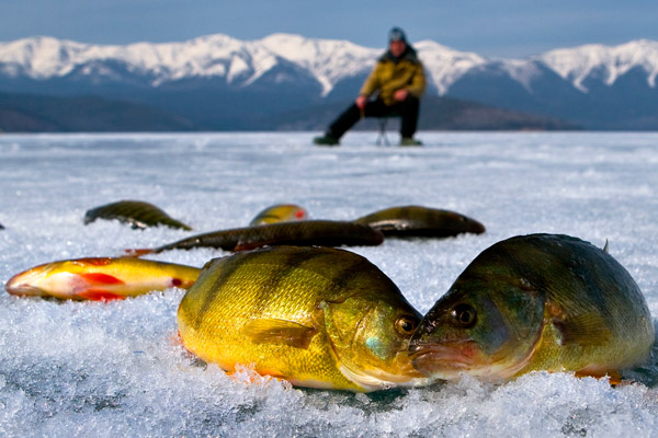 winter fishing on Lake Baikal