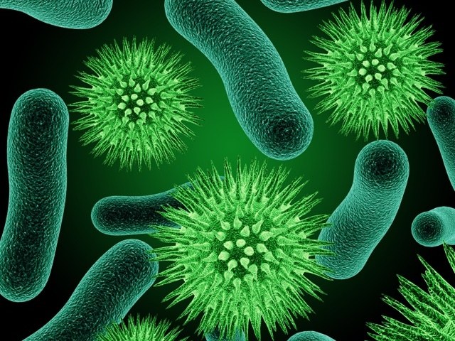 What is the intestinal microflora? 