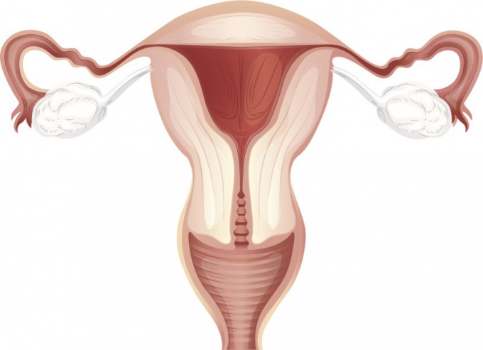 What is the size of the follicle before ovulation?