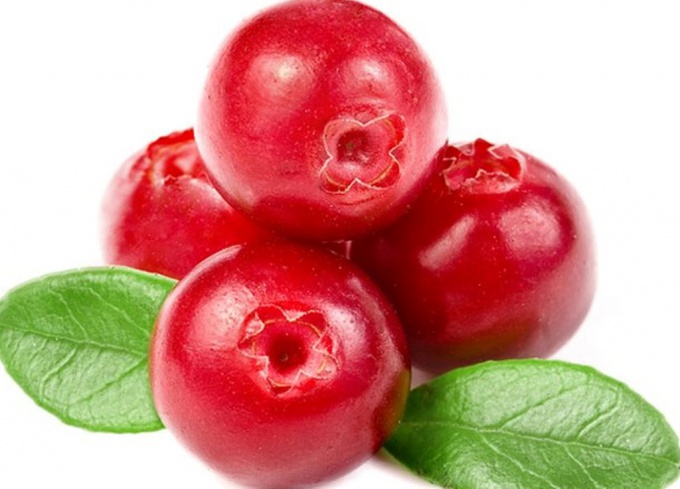 Cranberry: how to apply it for medicinal purposes