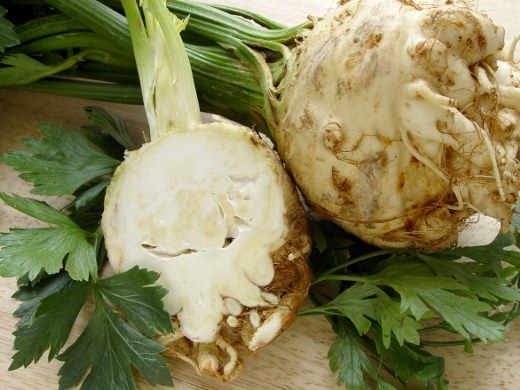 The healing properties of celery root