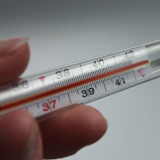 At what time of day does the body temperature rise?