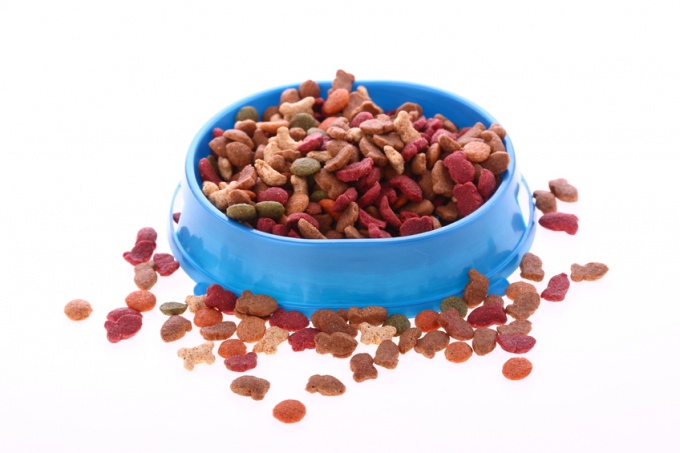 How to choose a dry dog ​​food