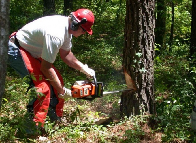  Chainsaw or electric saw: what is the best choice for construction?