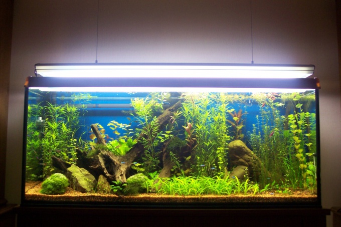 How to fill an aquarium