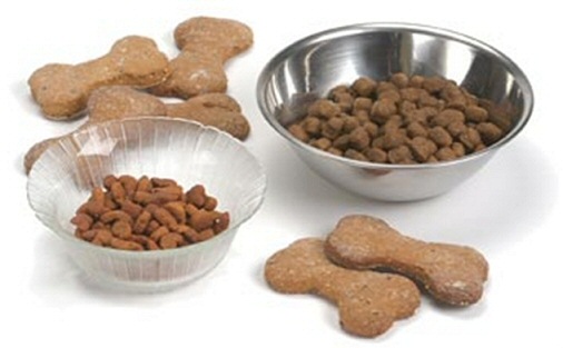 Dry dog ​​food: the rules of choice